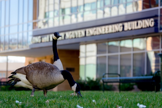 A building on the George Mason campus in Fairfax, Virginia